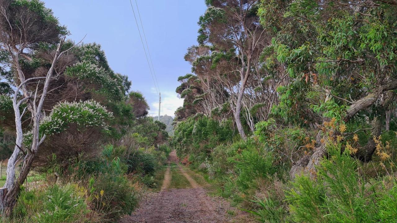 Cape Howe Cottages Lowlands Eksteriør billede